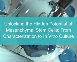 Unlocking the Hidden Potential of Mesenchymal Stem Cells: From Characterization to In Vitro Culture - cover
